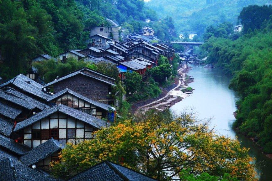 天鹅森林逃脱